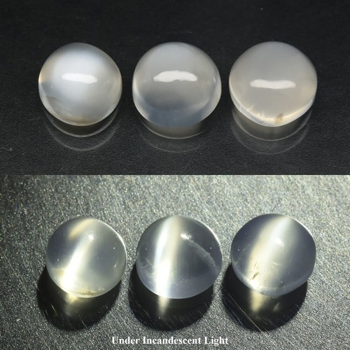 2.80ct 3pcs Lot Round Cabochon White Cat's Eye Moonstone - Natural India Gems
