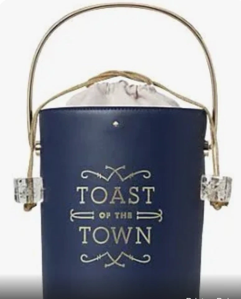 KATE SPADE NY "BOLSO CUBO CHAMPAGNE SPOTLIGHT" NUEVO CON ETIQUETAS $329 Foto 3 de 4