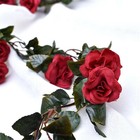 Bild 8 von 22
