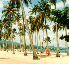 Vintage Postcard Luquillo Puerto Rico PR Beach Ocean Waves Palm Trees Sun