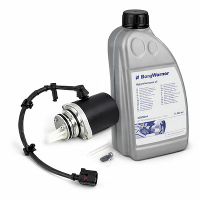 Haldex Vorladepumpe für Audi A3 TT Skoda Octavia 4x4 VW T5 B6 GOLF V 4motion