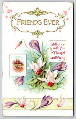 Friends Ever~Farm Field Scene W/ White & Purple Flowers~Embossed~Vintage PC