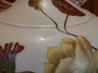 Picture 9 of 12