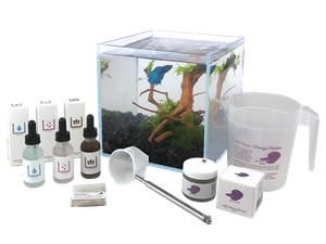 rimless aquarium