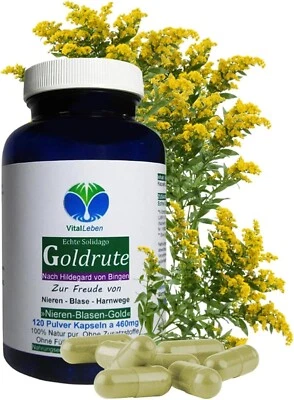VITALLEBEN Echte Goldrute Solidago 120 Kräuter Kapseln nach Hildegard von Bingen. 26935-120