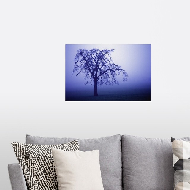 Tree Silhouette In Blue Fog Poster Art Print, Silhouettes Home Decor | eBay