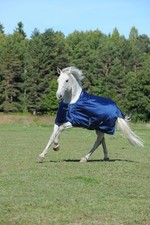 Bucas Smartex Rain Big Neck Regendecke Winterdecke Weidedecke  Blue 125-165