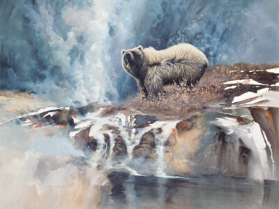 Into the Wind by Morten E. Solberg Wildlife Animals Grizzle Bear Canvas 24x32  