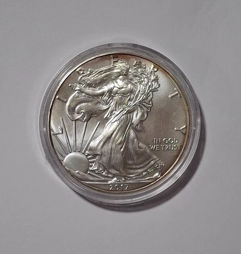 2017 $1 American Eagle 1 oz Silver Dollar Coin Walking Liberty listing #o41t