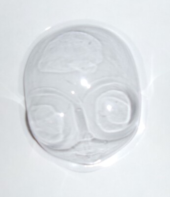 READ:  Transparent Face Cover for 30cm Blythe Dolls