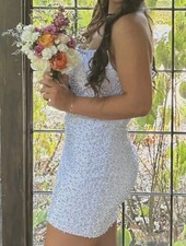 Ashley Lauren Beaded Dress