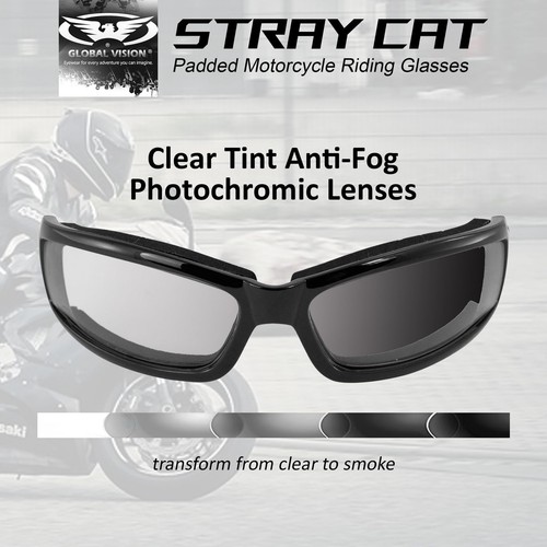 Transition Stray Cat 24 Motorrad Sonnenbrille mit Clear to Smoke Anti-Fog Ph... - Bild 3 von 9