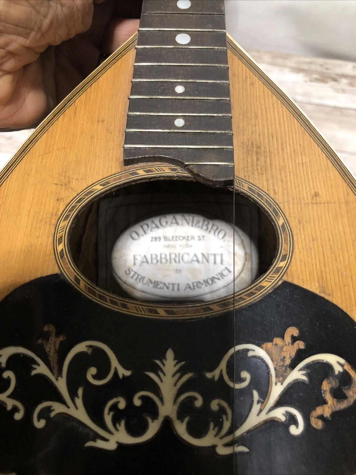 Picture 6 of 24