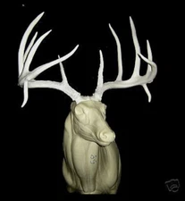 DROP TINES 185" DEER ANTLERS 12  point ,TAXIDERMY 