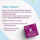 Bild 6 von 8