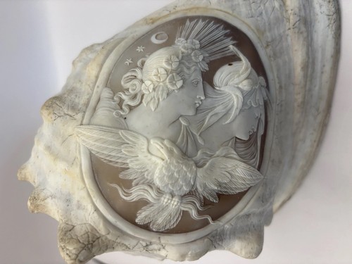 Large Antique Carved Queen Helmet Conch Cameo Sea Shell Man Woman Eagle