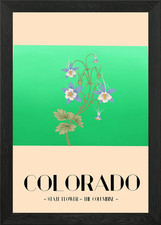 Colorado and The Columbine Framed Wall Art Poster Canvas Print Picture