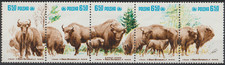 == Pologne. Bande ★★ Faune : Le Bison d'Europe — 1981 ==
