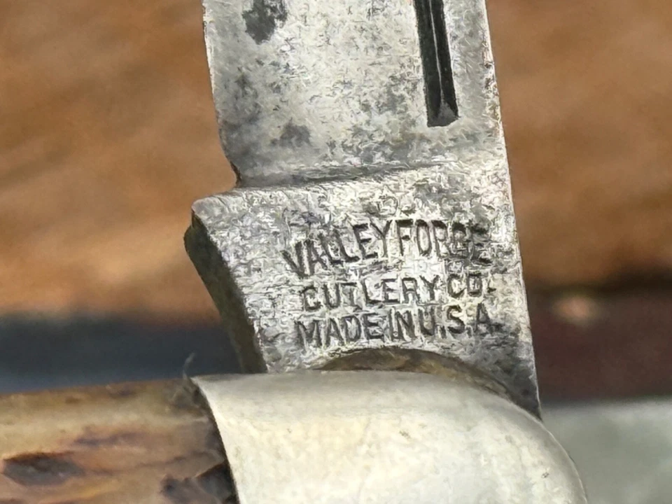 Vintage Valley Forge Cutlery Co Newark NJ 3 blade Pen knife bone handle--514.25 - Image 3 of 4
