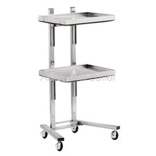 Foldable 2 Tier Beauty Salon SPA Rolling Cart Salon Tray Gold / Silver