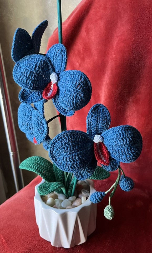 Crochet Handmade Blue Cotton Orchid Ceramic Pot . No Kill Orchid 18