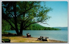 South Hill Canandaigua Lake Willow Grove Vine Valley New York Postcard