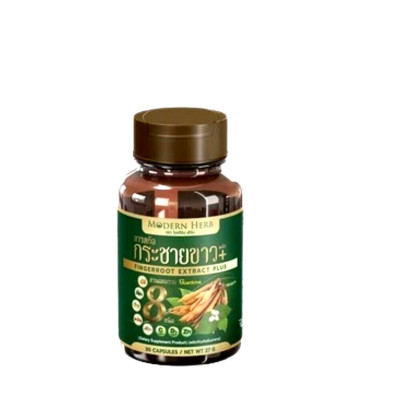 Herb White Root Krachai Kaempferia Ginger Healthy Thai Plus Galingale Thai Extra