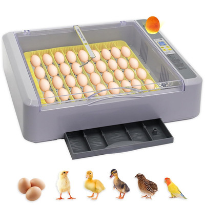Automatic Egg Incubator with Turner, Thermometer, Humidity Control - 36 Eggs