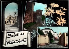 Torino Vische vedutine saluti da F. Grande non spedita