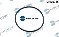 Dr.Motor Automotive DRM0746 Dichtung FüR Unterdruckpumpe