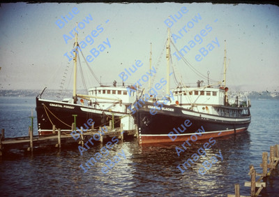 1951 35mm Slide Alaska Steamship Co Coastal Glacier Forest Lake Washington #8915