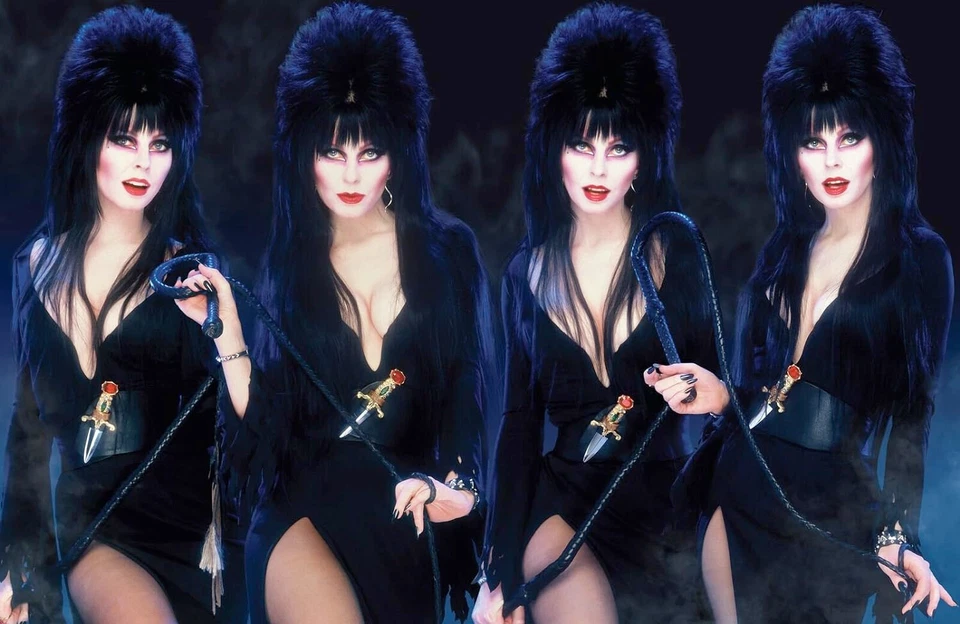 ЗАПЕЧАТАННАЯ фотография биографии Эльвиры Хозяйки Темноты (2017 в твердом переплете); совершенно новая - Изображение 4 из 4