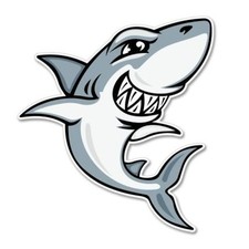 Shark Gray Car Vinyl Sticker - SELECT SIZE