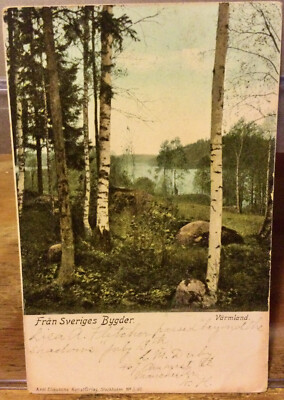 Swedish Postcard BIRCHES at Värmland SWEDEN 1905 Announcing a Death Eliassens