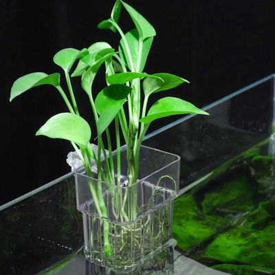 Aquarium Plant Holder,2Pack Transparent Hanging Pot for Fish Tank Aquatic  Plant | eBay