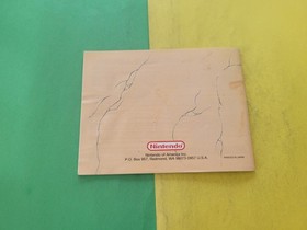 Faxanadu Nintendo NES Instruction Booklet Manual Only