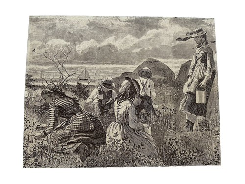 Antique Winslow Homer Wood Engraving Block “Gathering Berries” 1877 Illustration