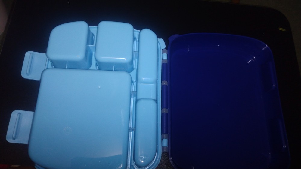 Bento Lunch Box for Kids & Adults with Removable Tray & Handle Bento Lunch Box for Kids & Adults with Removable Tray & Handle