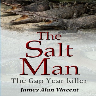 The Salt Man The Gap Year killer James Alan Vincent Paperback Lul