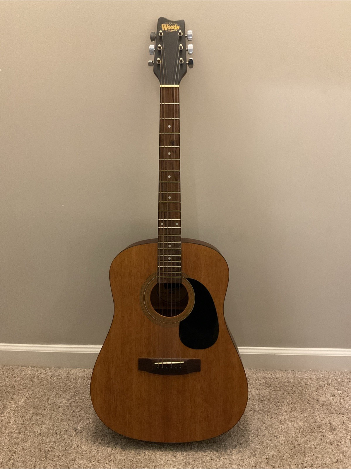Woods By Samick DW-15 Brown 6 String Musical Instrument Acoustic Guitar ...