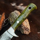 8.9" inch Handmade Damascus Hunting Knife Full Tang Wood Handle Leather Sheath — photo 3