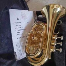 Pocket Trumpet 200 B-flat Craftsmanship Gold Palm with Case Accessories --