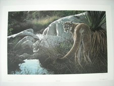 Ron Parker Creekside Cougar Mountain Lion Signed Limited Ed Wildlife Art Print