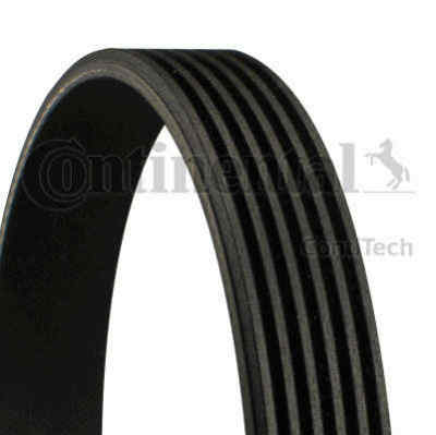 Multi V-Ribbed Belt for BMW VW Toyota Audi Mitsubishi Daewoo:E46  