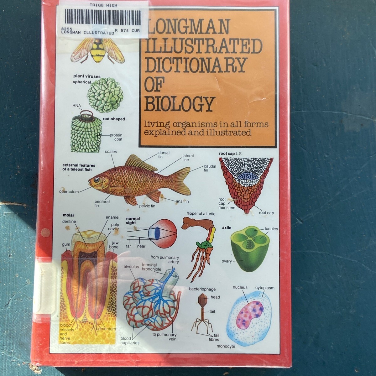 Illustrated Dictionary of Biology (Longman illustrated Illustrated Dictionary of Biology (Longman illustrated