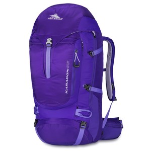 high sierra women's backpack