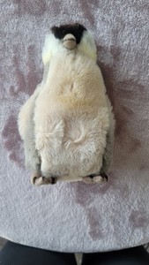 Steiff Young Penguin Vintage Made In Western Germany 2507/20