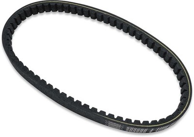 Comet T.C Belt for Comet TAV2 Clutch - 203589A