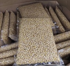 450g Siberian Pine Nuts FRESH Harvest 2025 ORGANIC Premium Quality Clean Seeds