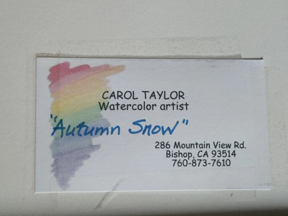 Pintura em aquarela outono neve outono natureza folhas arte popular local Carol Taylor - Imagem 4 de 4